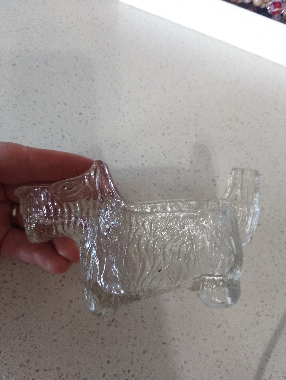 Cute Dog Dish
